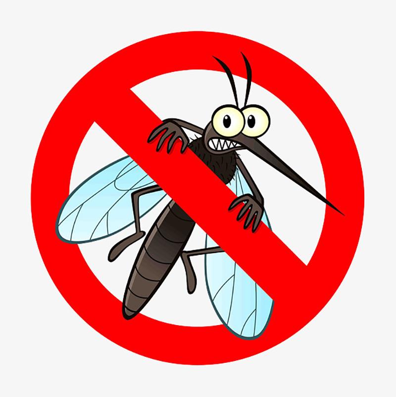 Was sind die verschiedenen Arten von Mücken?
